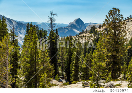 Half Dome Yosemite Half Dome Yosemite 30419974