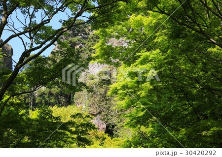香川県小豆島町　寒霞渓　老杉洞（表１２景　第４景） 30420292
