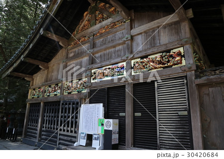 日光東照宮　猿の彫刻 30420684