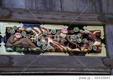 日光東照宮　猿の彫刻 30420685