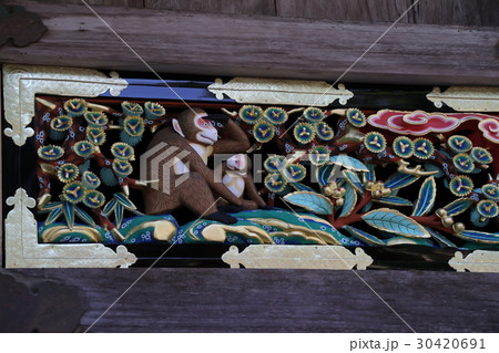 日光東照宮　猿の彫刻 30420691