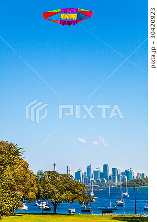 Flight kites at Camp Cove Beach in Sydney 30420923