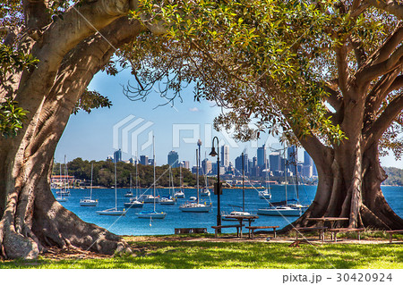 Camp Cove Beach View of Sydney Australia Camp Cove Beach View of Sydney Australia 30420924