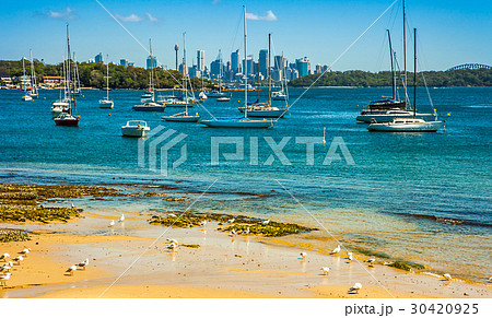 Camp Cove Beach in Sydney New South Wales 30420925