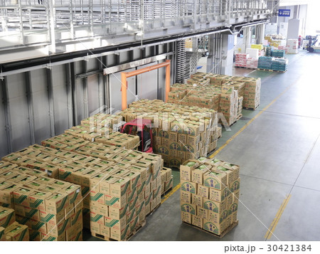たくさんのダンボールが積まれた青果市場 30421384