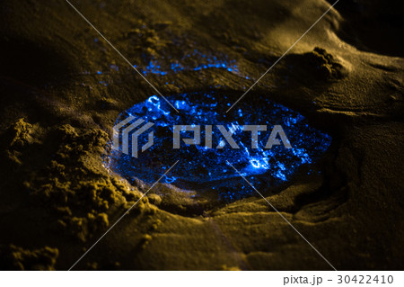 台湾 馬祖 波 30422410