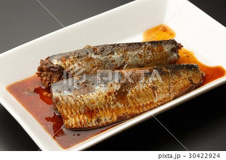 鰯の煮魚 30422924