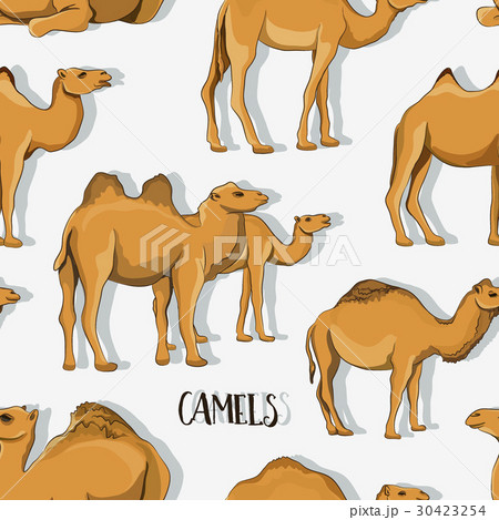 Camel Silhouettes set pattern Camel Silhouettes set pattern 30423254