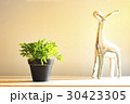 Tree in a pot 30423305