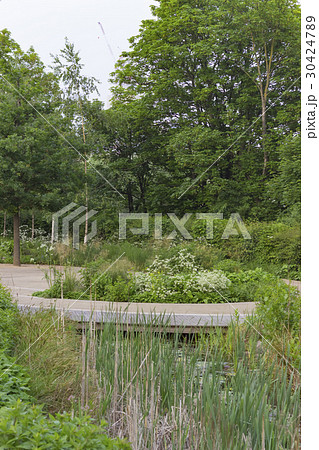 Landscape of a park Landscape of a park 30424789