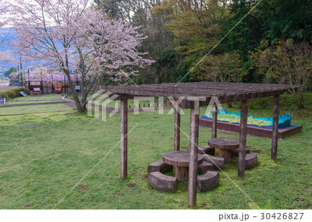 【静岡県】丹那断層公園、桜の季節 【静岡県】丹那断層公園、桜の季節 30426827