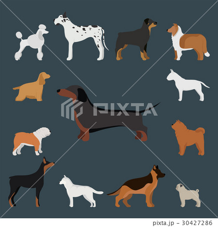 Funny cartoon dog character bread in cartoon style 30427286