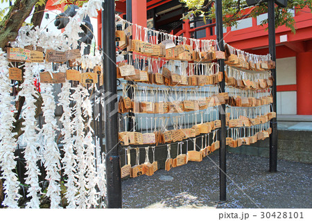 神楽坂 毘沙門天 神楽坂 毘沙門天 30428101