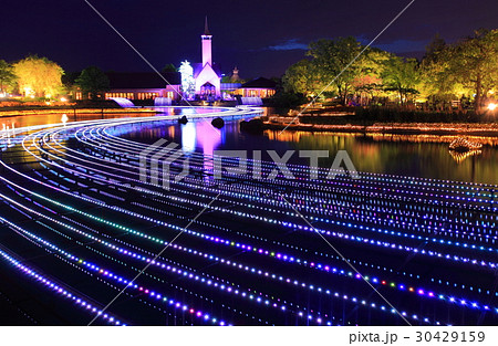 なばなの里イルミネーション 30429159