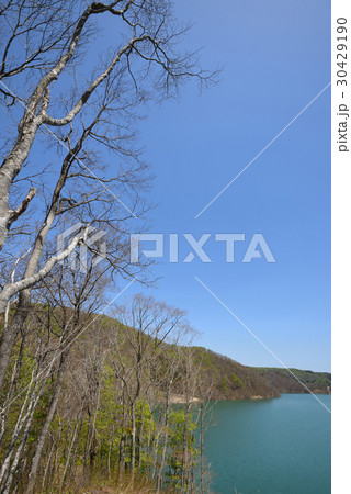 春の胆沢ダム奥州湖 石渕広場からの眺望 春の胆沢ダム奥州湖 石渕広場からの眺望 30429190