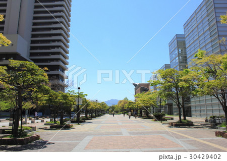 福岡市　サザエさん通り 30429402