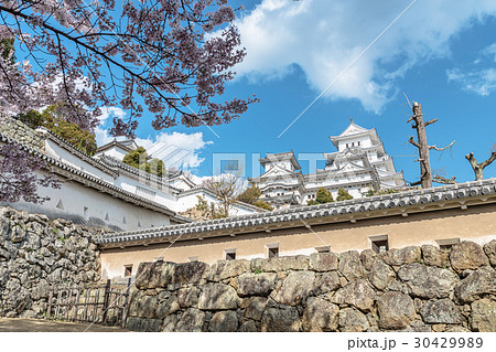 姫路城春景色 30429989