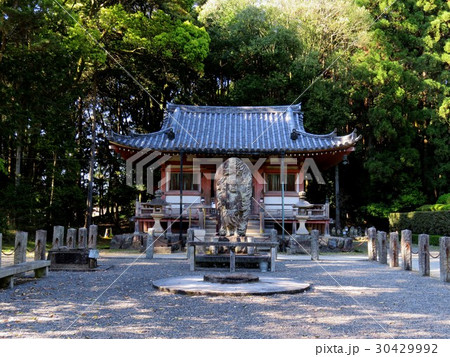 醍醐寺 不動堂・護摩道場 醍醐寺 不動堂・護摩道場 30429992