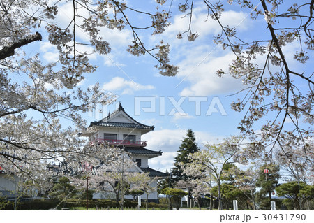 涌谷城2017(宮城県遠田郡涌谷町) 涌谷城2017(宮城県遠田郡涌谷町) 30431790