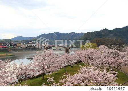 錦帯橋 30431937