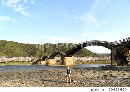 錦帯橋 30431949