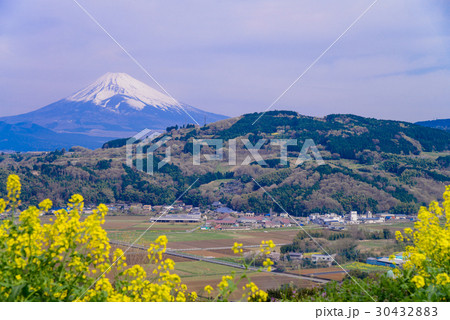 【静岡県函南町丹那】伊豆から見た富士山 30432883