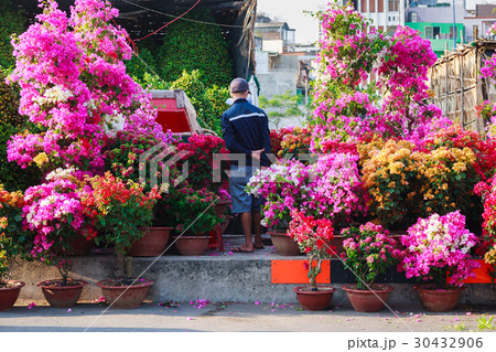 Flowers street vendor at Binh Dong flower market Flowers street vendor at Binh Dong flower market 30432906