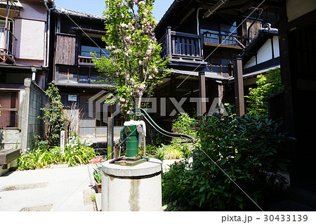4月 上野45レトロな上野桜木あたり界隈 4月 上野45レトロな上野桜木あたり界隈 30433139