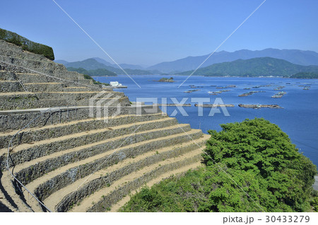 遊子水荷浦の段畑 30433279