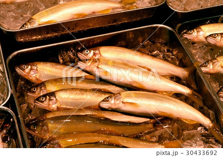 鮎 魚市場の風景 鮎 魚市場の風景 30433692