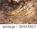 wooden swirls,tree rings 30433927