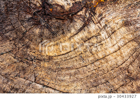 wooden swirls,tree rings 30433927