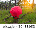 Woman with red umbrella in nature on background. 30433953