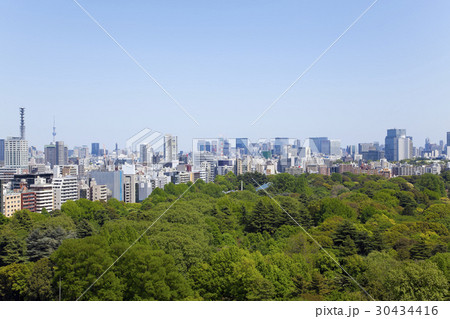 東京の眺望 30434416