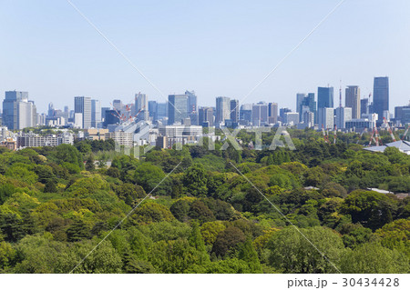 東京の眺望 30434428