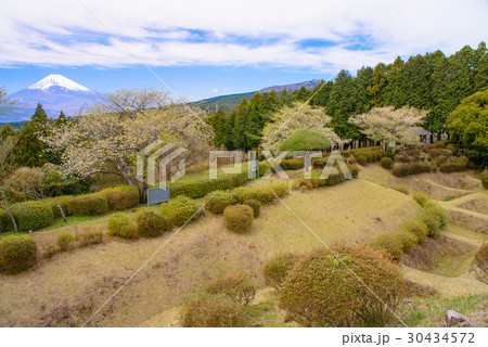 【静岡県】春の山中城址公園と富士山 30434572