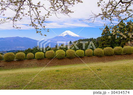 【静岡県】春の山中城址公園と富士山 30434574