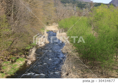 新緑と小川 30434677