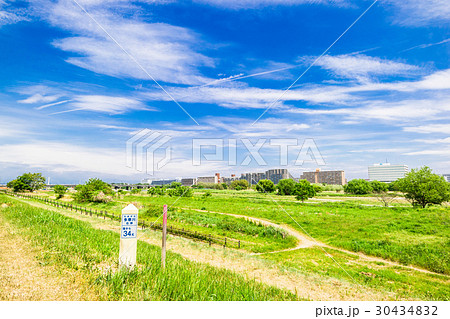 新緑の多摩川河川敷 30434832