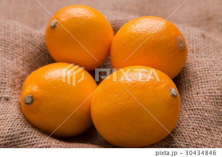 国産マイヤーレモン 30434846