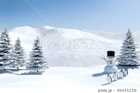 Arctic landscape, snow field with snowman 30435250