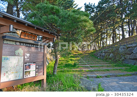 曲里の松並木 30435324