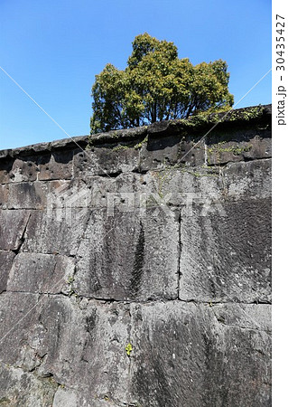 鹿児島城 鹿児島城 30435427