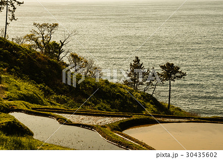 白米千枚田 30435602