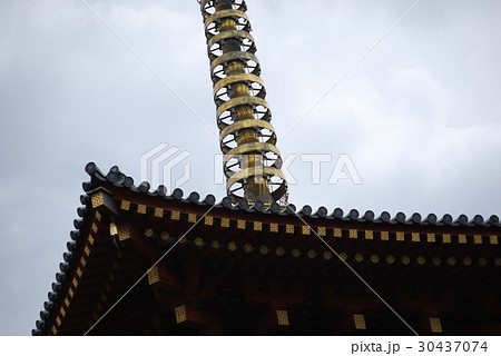 薬師寺-5 薬師寺-5 30437074