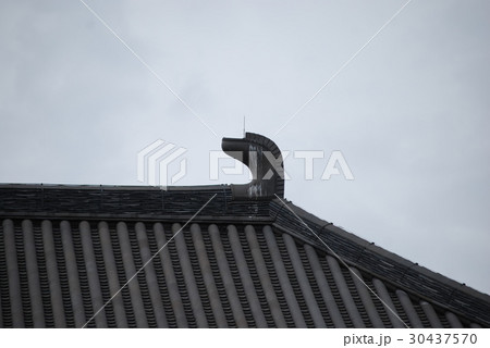 唐招提寺-5 30437570