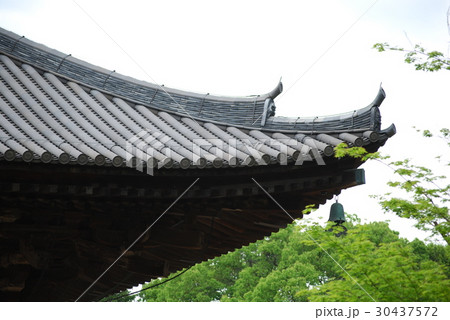 唐招提寺-7 30437572