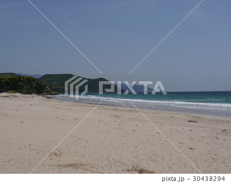 伊豆白浜 30438294
