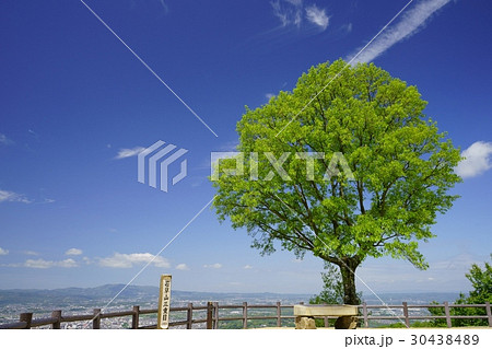 奈良・五月の若草山山頂２ 30438489