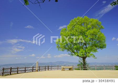 奈良・五月の若草山山頂３ 30438491